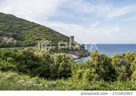 Watchtower view Roadtrip Winding road along rocky coast of Cap Corse peninsula on Corsica island France 131002867