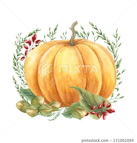 Watercolor yellow orange pumpkin, hazelnuts, red barberry, and wild grasses illustration on isolated background. Autumn composition for seasonal designs, Thanksgiving, harvest festival packaging Watercolor yellow orange pumpkin, hazelnuts, red barberry, and wild grasses illustration on isolated background. Autumn composition for seasonal designs, Thanksgiving, harvest festival packaging 131002884