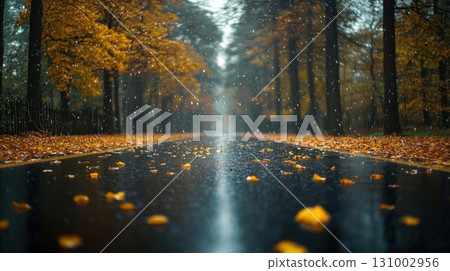 Rain in autumn forest. Fallen leaves on a wet asphalt road in the rain. 131002956