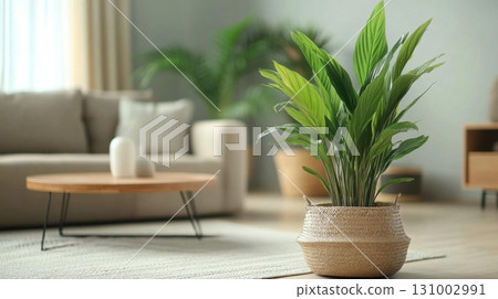 Modern living room interior with plant in pot, closeup. Space for text. 131002991