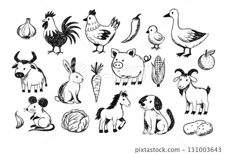Doodle Sketch Farm Animal Vegetable Set With Goat, Horse, Pig, Chicken and Carrot, Garlic, Cabbage Doodle Sketch Farm Animal Vegetable Set With Goat, Horse, Pig, Chicken and Carrot, Garlic, Cabbage 131003643