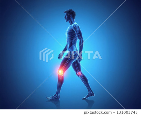 Human Skeleton with Knee Pain Highlighted 131003743