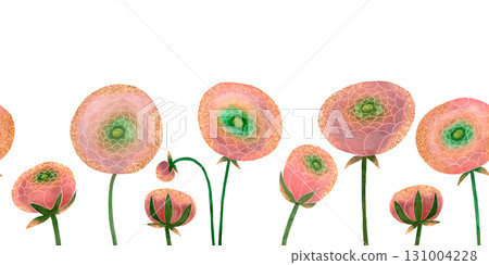 Watercolor pink ranunculus border. Ranunculus flowers green stems on white background. 131004228