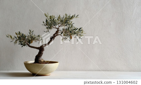 Minimalist bonsai tree in a ceramic pot 131004602