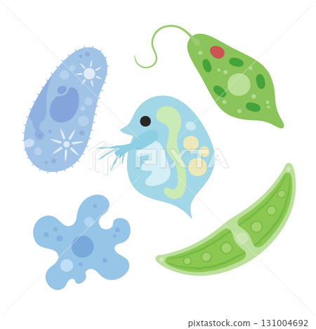 Cute microorganism illustration material 131004692