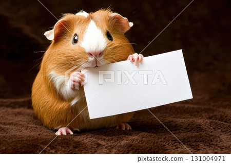 Tiny Golden Guinea Pig Holding a Blank Sign on a Soft Brown Surface 131004971