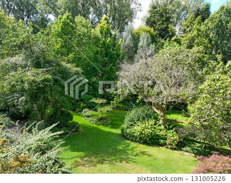 Enlgish green garden with multpiple type of trees and plants Enlgish green garden with multpiple type of trees and plants 131005226