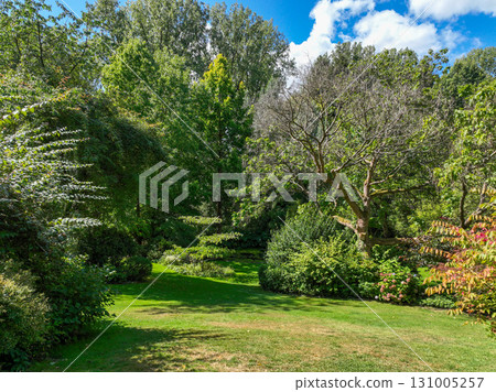 Enlgish green garden with multpiple type of trees and plants Enlgish green garden with multpiple type of trees and plants 131005257