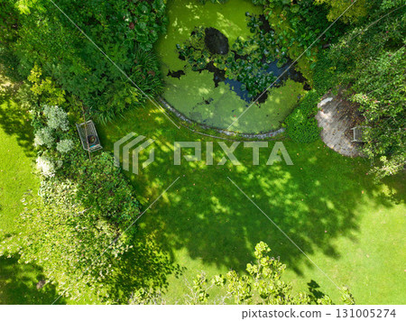 Enlgish green garden with multpiple type of trees and plants 131005274