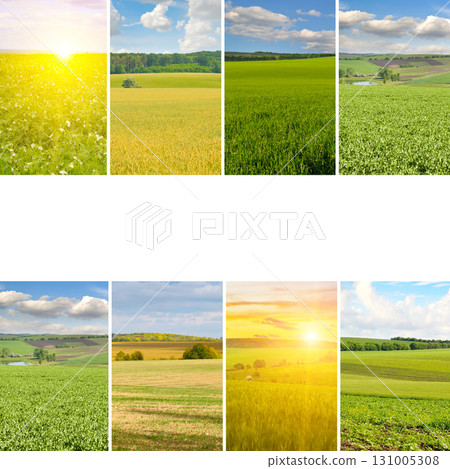 A Collage of Four Agricultural Landscapes. A Collage of Four Agricultural Landscapes. 131005308