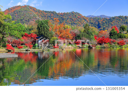 [京都府]大覺寺（大澤池）對稱的秋葉 131005354