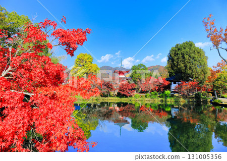 [Kyoto Prefecture] Symmetrical autumn leaves at Daikakuji Temple's Heart Sutra Pagoda (Hojo Pond) 131005356