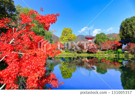 [Kyoto Prefecture] Symmetrical autumn leaves at Daikakuji Temple's Heart Sutra Pagoda (Hojo Pond) 131005357