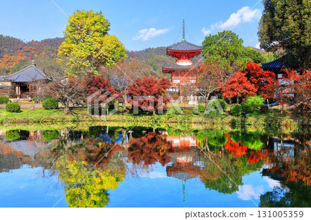 [Kyoto Prefecture] Symmetrical autumn leaves at Daikakuji Temple's Heart Sutra Pagoda (Hojo Pond) 131005359