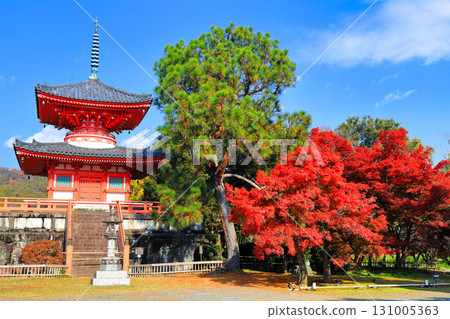 [Kyoto Prefecture] Daikakuji Temple: Heart Sutra Pagoda and autumn leaves on a clear day 131005363