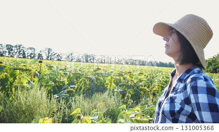 Female agronomist exploring plants at yellow meadow. Adult farmer examining ripe sunflowers at field on sunny day. Beautiful scenic landscape. Concept of agriculture and agronomy business. Close up 131005368