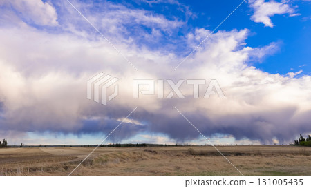 Freshly Seeded Field, Trees, Rainy Spring Sky 131005435