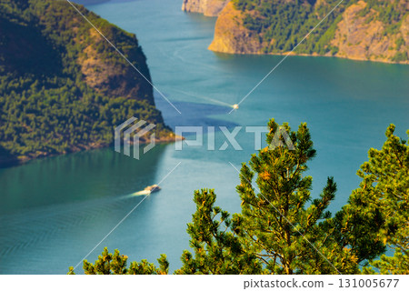 Cruise ship on fjord in Norway 131005677