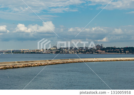Istanbul, Turkey. Scenic view of the Bosphorus Strait with city view in the background. Urban skyline and city life. 131005958