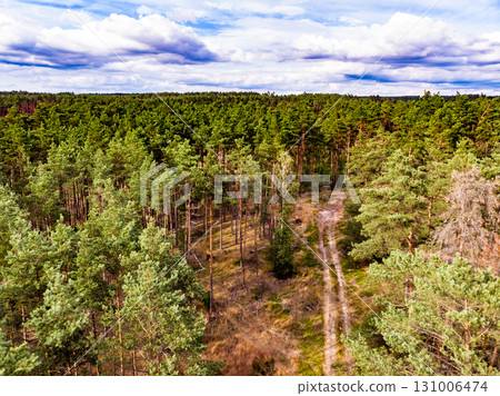 Tuchola forest in Poland. Aerial view 131006474