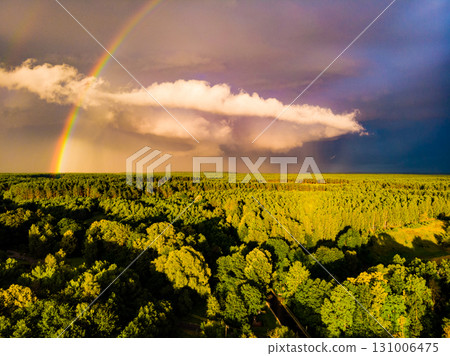Rainbow over forest area, Poland. Aerial view 131006475