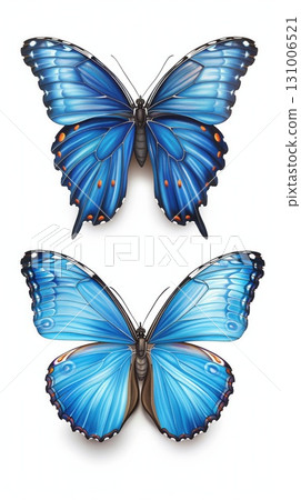 two blue morpho butterflies top and side views on clean white backdrop, delicate wings, natural science style, crisp detail, copyspace, concept of education biology decor 131006521