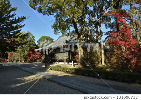 Autumn at Ninna-ji Temple Kondo (Ukyo Ward, Kyoto City) 131006718