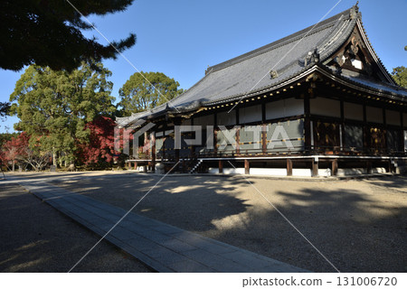仁和寺金堂的秋天(京都市右京區) 仁和寺金堂的秋天(京都市右京區) 131006720
