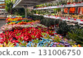Vibrant painted succulents on display at garden center. Colorful echeveria and aloe plants arranged on metal shelves in flower shop 131006750