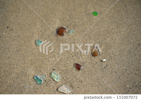 海草 海草 131007072