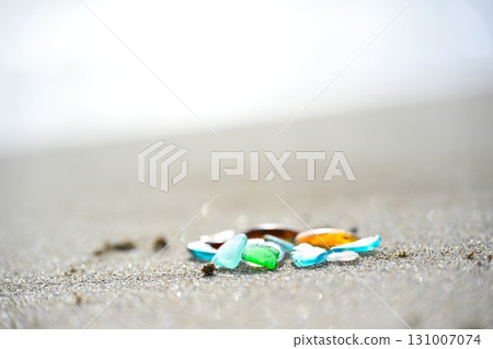 海草 海草 131007074