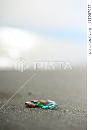 海草 131007075