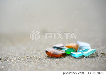 海草 海草 131007076