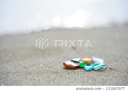 海草 131007077