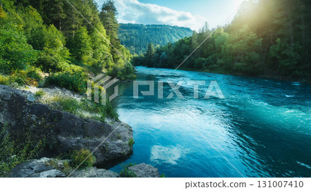 清澈溪流的深林景色 / 讓您感受到大自然的寧靜與治癒的風景素材 131007410