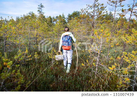 Woman walking through autumn peat bog in forest using stick for support. Woods solo trekking 131007439
