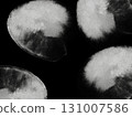 Monochrome black white grey watercolor texture abstract design paper high-quality texture background gray pastel poster copy space minimalistic acrylic alcohol ink x-ray film sepia negative 131007586