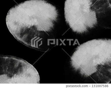 Monochrome black white grey watercolor texture abstract design paper high-quality texture background gray pastel poster copy space minimalistic acrylic alcohol ink x-ray film sepia negative 131007586