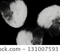 Monochrome black white grey watercolor texture abstract design paper high-quality texture background gray pastel poster copy space minimalistic acrylic alcohol ink x-ray film sepia negative 131007593