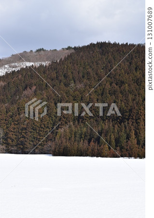 杉林雪景山形縣 131007689