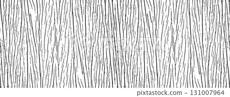 Tree bark texture 131007964