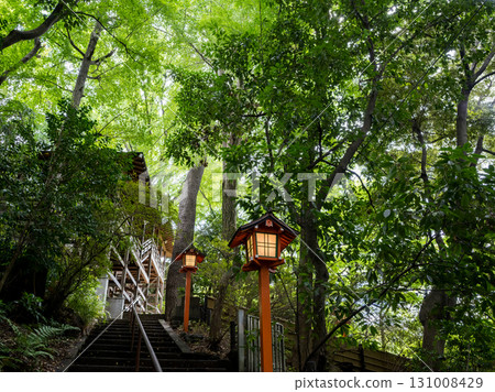 [Todoroki Valley] Stairs leading to the valley 131008429