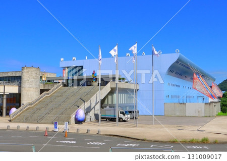 Umitamago (Oita Marine Palace Aquarium, Oita City) 131009017