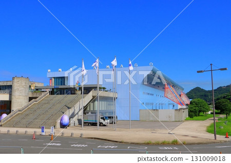 Umitamago (Oita Marine Palace Aquarium, Oita City) Umitamago (Oita Marine Palace Aquarium, Oita City) 131009018