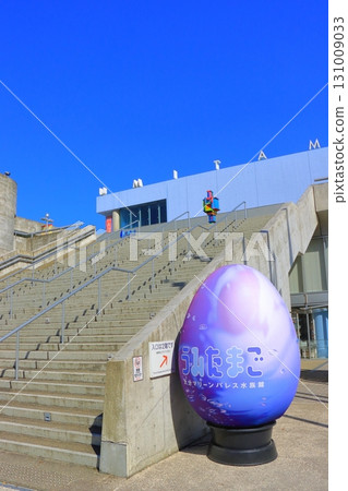 Sea eggs (Oita Marine Palace Aquarium, Oita City, vertical composition) Sea eggs (Oita Marine Palace Aquarium, Oita City, vertical composition) 131009033