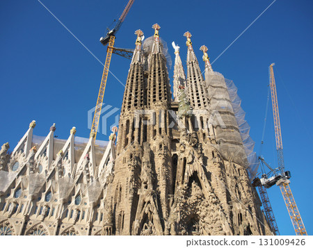 Spain, Barcelona, Sagrada Familia, Nativity Facade, early morning in May 131009426