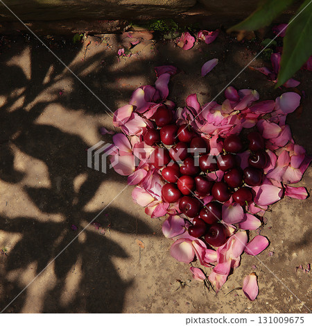 用落下的櫻花花瓣做成的浪漫心形 131009675