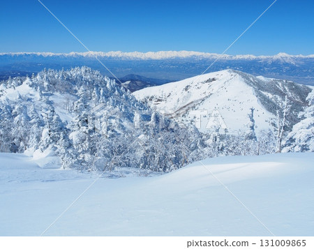 Mt. Neko and the Northern Alps seen from Mt. Azumaya in winter 131009865