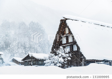 Snow scenery of Shirakawago Snow scenery of Shirakawago 131009995