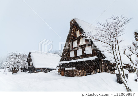 Snow scenery of Shirakawago 131009997